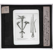 Ère quaternaire, ustensiles, nature, fossiles. Haches de pierres emmanchées des insulaires de l'océan Pacifique méridional.