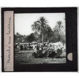 Algérie. Série I. Le pays et les indigènes. Marché aux bestiaux.