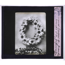 L'Art à l'école, décoration par les fleurs de printemps. Couronnes tressées de grandes marguerites et de pâquerettes.