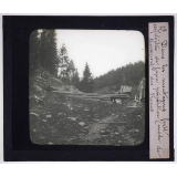 La Roumanie. Dans les montagnes forêt exploitée de façon primitive (mode de transport des troncs).