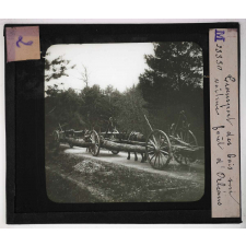 Produits des forêts. Transport des bois sur voiture. Forêt d'Orléans.