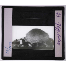 Les Animaux disparus. Glyptodon.