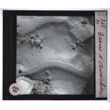 Ce qu'on voit en se penchant au bord de la mer. Traces d'annélides.