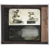 Les Plantes. Microscope simple.