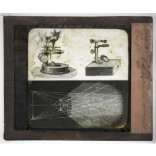 Les Plantes. Microscope simple.