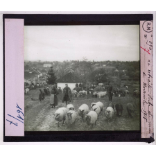 La Retraite des Serbes en Albanie après la campagne de 1915. La retraite serbe du mois de novembre 1915.