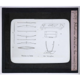 L'Acoustique et les instruments de musique. Vibration des cordes - leur inscription.