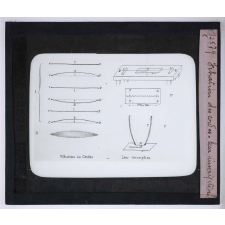 L'Acoustique et les instruments de musique. Vibration des cordes - leur inscription.