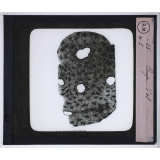 Le Microscope. Ce qu'il permet de voir dans le corps humain. Coupe d'os.
