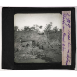 Chasse au grand gibier africain du Mozambique. M. G. Vasse sur un éléphant. 