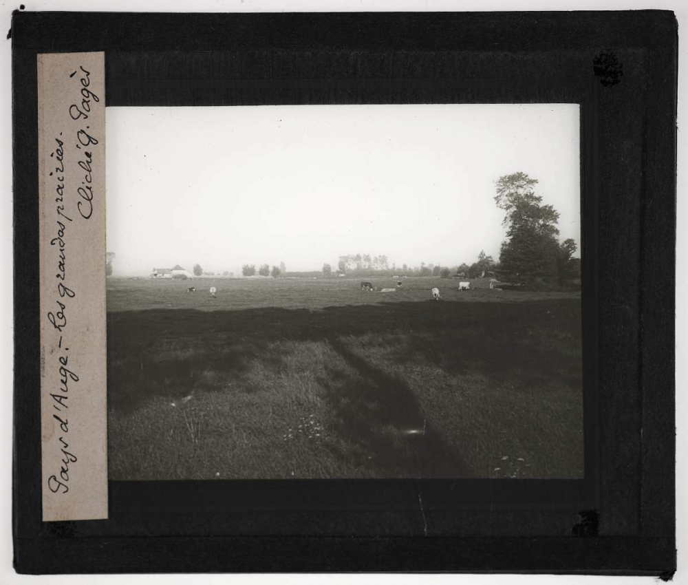Normandie, Pays de Caux et d'Auge. Pays d'Auge. Les grandes prairies.