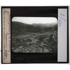 Sumatra. Environ de Palambojan.