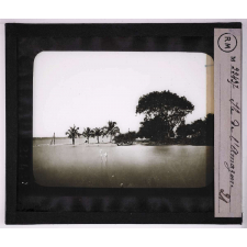 Eaux de ruissellement. Île de l'Amazone.