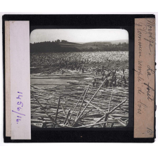 Norvège, la forêt. Glommen rempli de bois.