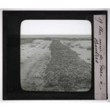 La Moule et l'huître portugaise sur les côtes de l'Aunis. Un mur de parc à huîtres. 