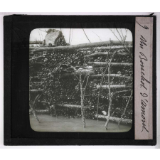 La Moule et l'huître portugaise sur les côtes de l'Aunis. Un bouchot d'amont.