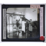 Sérothérapie. Préparation des divers sérums de l'Institut Pasteur de Paris. Vaccination d'un cheval.
