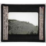 Conservation des terres en montagne et sur les pentes. Action de la forêt sur le sol et sur le régime des eaux, pâturages, prés, bois, correction des torrents. Massif du Chélia. Disparition progressive des cèdres par l'abus du pâturage.
