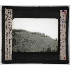 Conservation des terres en montagne et sur les pentes. Action de la forêt sur le sol et sur le régime des eaux, pâturages, prés, bois, correction des torrents. Massif du Chélia. Disparition progressive des cèdres par l'abus du pâturage.