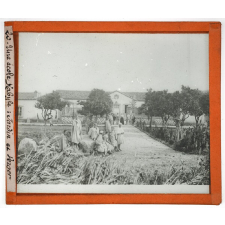 Algérie, pays indigènes. Une école Kabyle : Jardin et Verger.