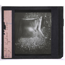 Mines et carrières. Galerie boisée.