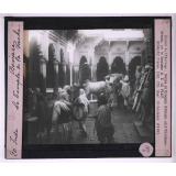 Les Sanctuaires de l'Inde. Bénares, le Temple de la vache.