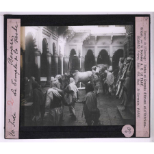 Les Sanctuaires de l'Inde. Bénares, le Temple de la vache.