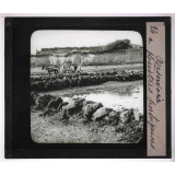 La Moule et l'huître portugaise sur les côtes de l'Aunis. Réservoirs à huîtres portugaises.