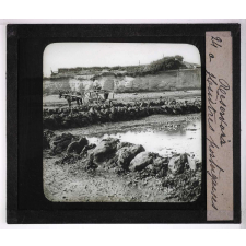 La Moule et l'huître portugaise sur les côtes de l'Aunis. Réservoirs à huîtres portugaises.
