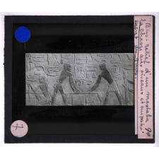 L'Art égyptien - II. La sculpture et la peinture. Bas-relief d'un mastaba : la chasse aux oiseaux et empâtement des grues.