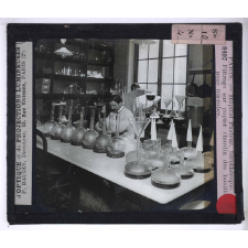 Sérothérapie. Préparation des divers sérums de l'Institut Pasteur de Paris. Filtrage sur papier chardin des bouillons pour microbes.