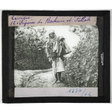 Tunisie. Figuier de Barbarie et Fellah.