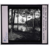 Côtes de la Manche et Atlantique. Lac de Chiberta. Sapins et étangs des Landes.