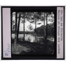 Côtes de la Manche et Atlantique. Lac de Chiberta. Sapins et étangs des Landes.