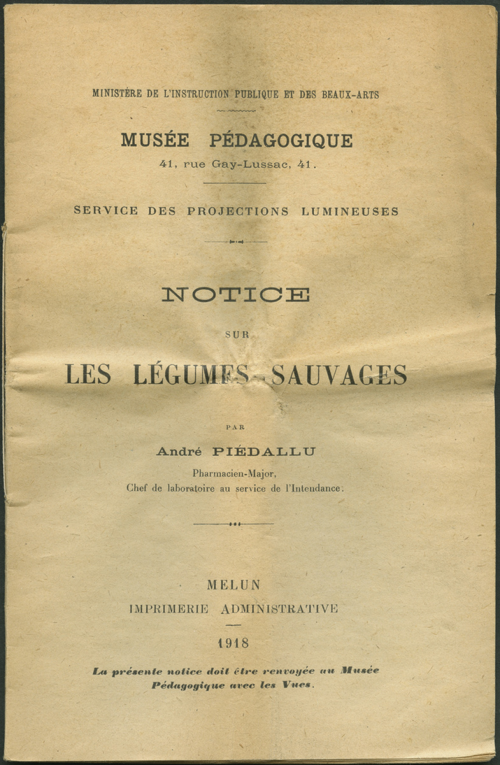 Les Légumes sauvages. Notices sur les vues. 