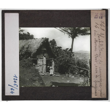 Guadeloupe, Martinique. Habitation de campagne près du Morne Vert, case de paysans.