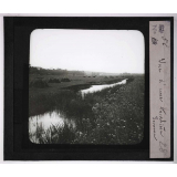 Les Eaux. Vue d'une tourbière. Somme.