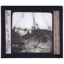 Norvège, la pêche. Bateau pêcheur dans la mer du nord.
