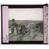 La Retraite des Serbes en Albanie après la campagne de 1915. Le roi Pierre sur le champ de bataille.