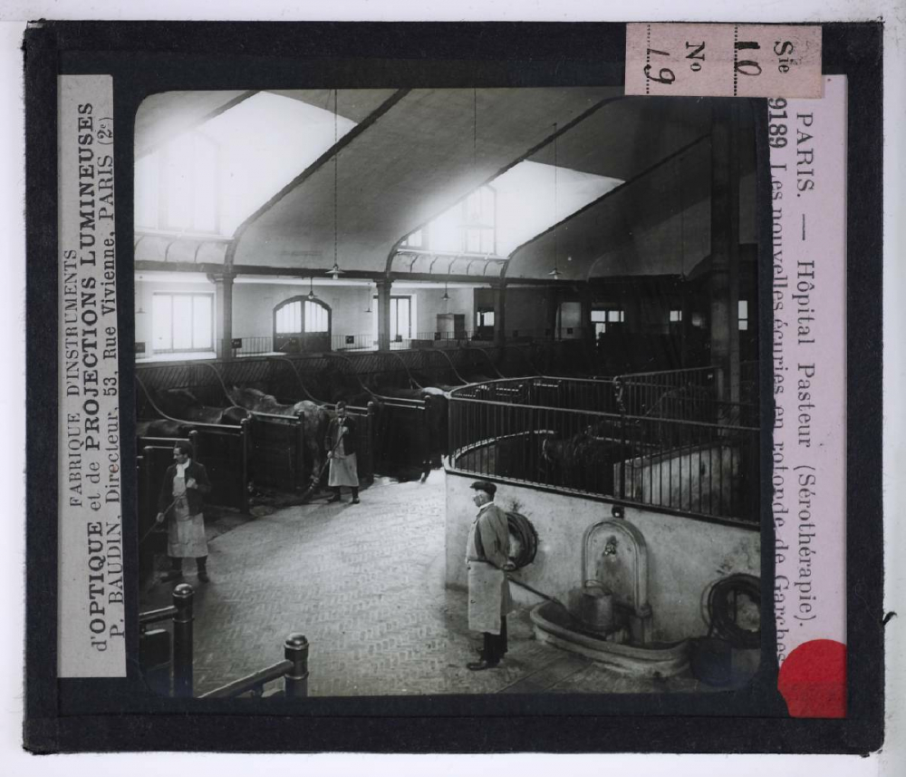 Sérothérapie. Préparation des divers sérums de l'Institut Pasteur de Paris. Les nouvelles écuries en rotonde de Garches.