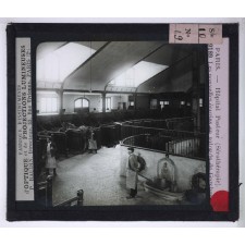 Sérothérapie. Préparation des divers sérums de l'Institut Pasteur de Paris. Les nouvelles écuries en rotonde de Garches.