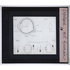 Phénomènes généraux de l'optique et applications. Œil humain.