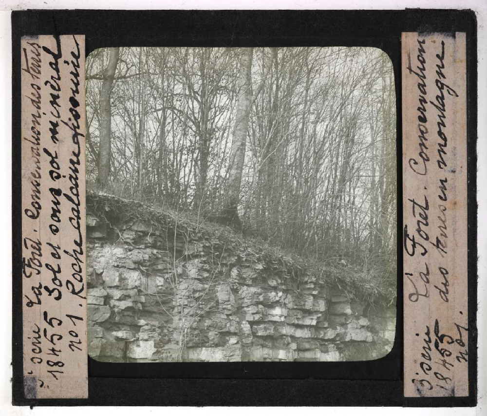 Conservation des terres en montagne et sur les pentes. Action de la forêt sur le sol et sur le régime des eaux, pâturages, prés, bois, correction des torrents. Sol et sous-sol minéral. Roche calcaire fissurée.