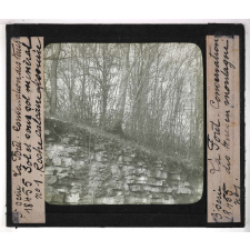 Conservation des terres en montagne et sur les pentes. Action de la forêt sur le sol et sur le régime des eaux, pâturages, prés, bois, correction des torrents. Sol et sous-sol minéral. Roche calcaire fissurée.
