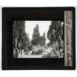 Constantinople et le Bosphore. Cimetière de Scutari.
