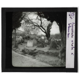 Algérie, Tunisie, Maroc. Cimetière arabe à Tlemcen.