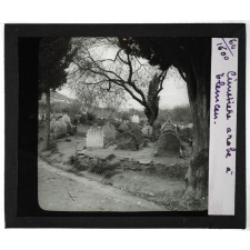 Algérie, Tunisie, Maroc. Cimetière arabe à Tlemcen.