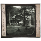 Allemagne, Suisse. Ilsenburg. La forêt.