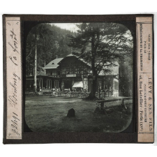 Allemagne, Suisse. Ilsenburg. La forêt.