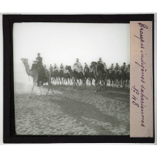 Algérie, Tunisie, Maroc. Troupes indigènes sahariennes.